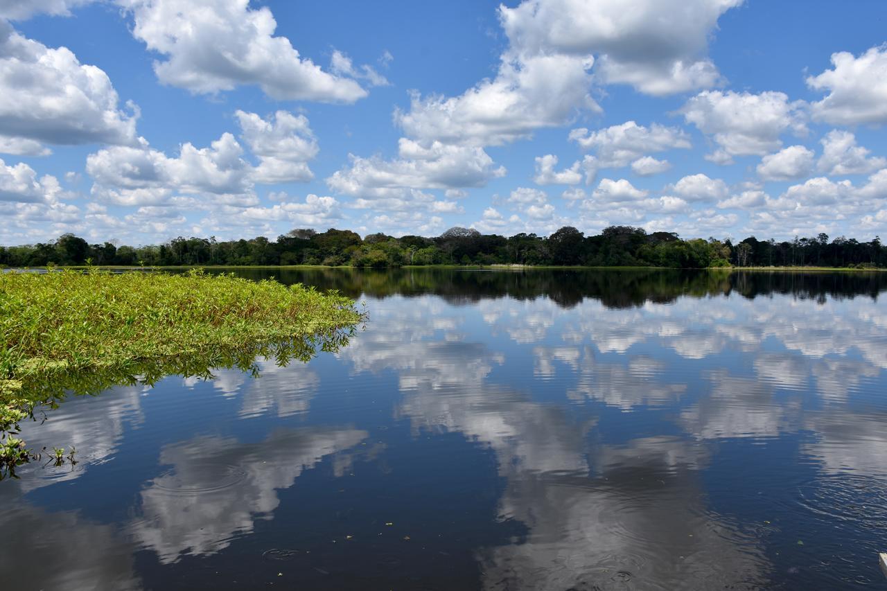 Yaku Amazon Lodge & Expeditions Paraíso Dış mekan fotoğraf